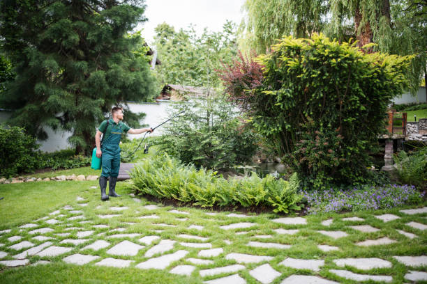 Best Wasp Removal Services  in Osceola Mills, PA