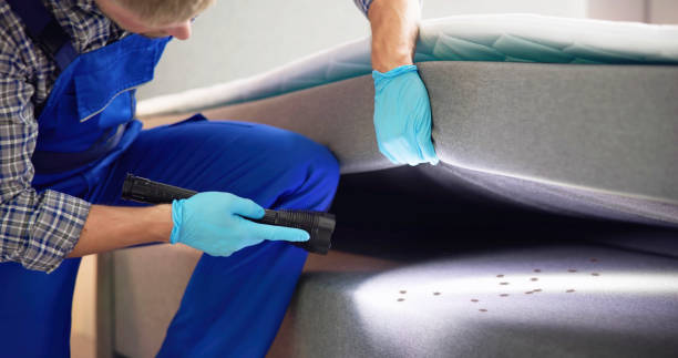 Professional Pest Control in Osceola Mills, PA