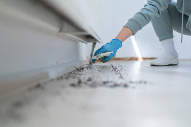 Best Mosquito Control Services  in Osceola Mills, PA